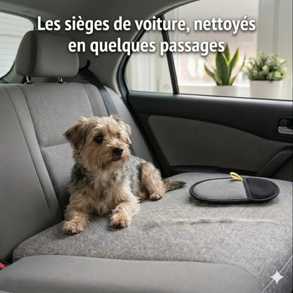 Gant anti-poils réutilisable sur siège de voiture avec un chien pour enlever les poils