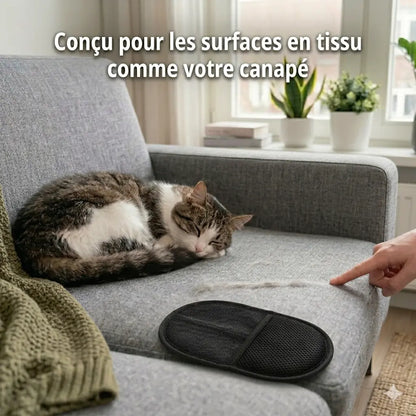 Gant anti-poils réutilisable posé sur canapé en tissu gris avec un chat pour enlever les poils
